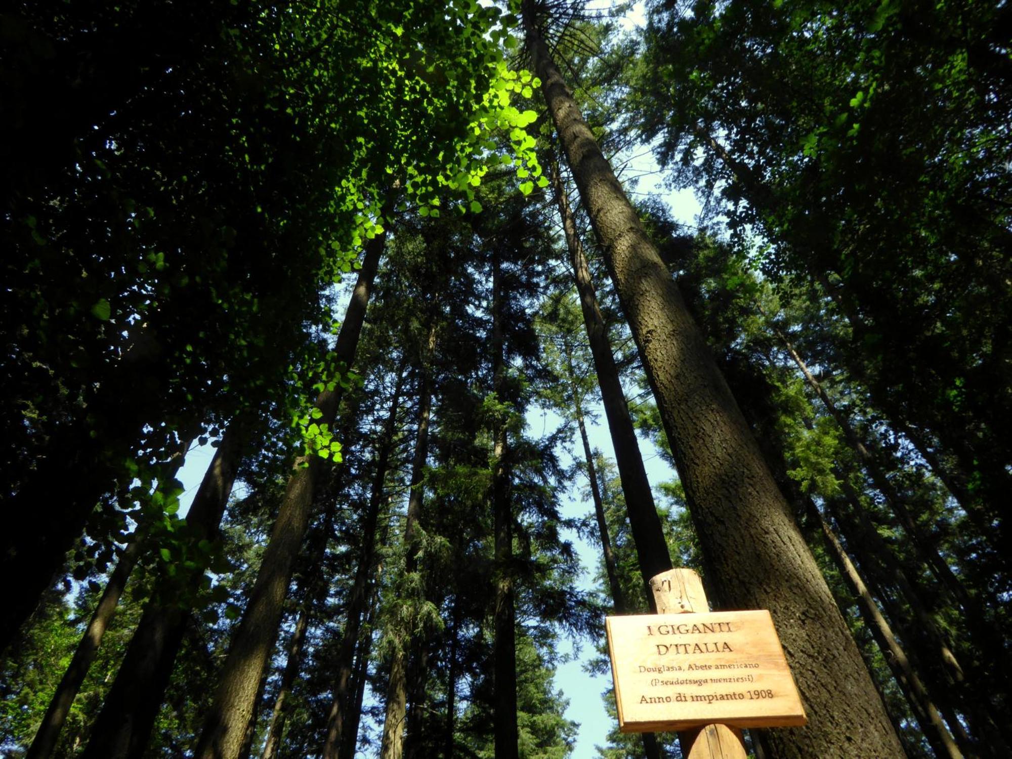 Hotel Rifugio La Foresta Vallombrosa Luaran gambar